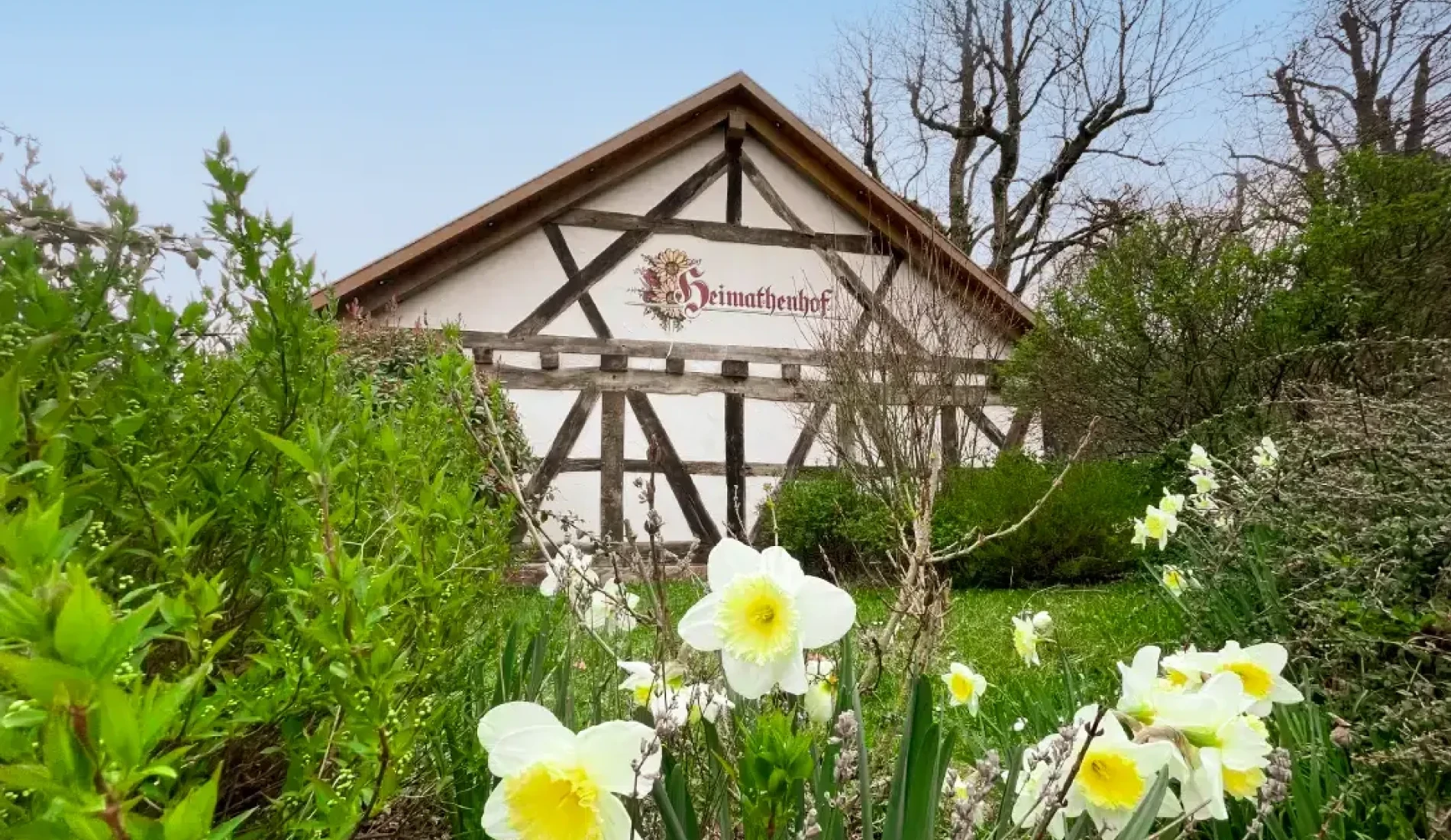 Ansicht Hotel im Fruehling