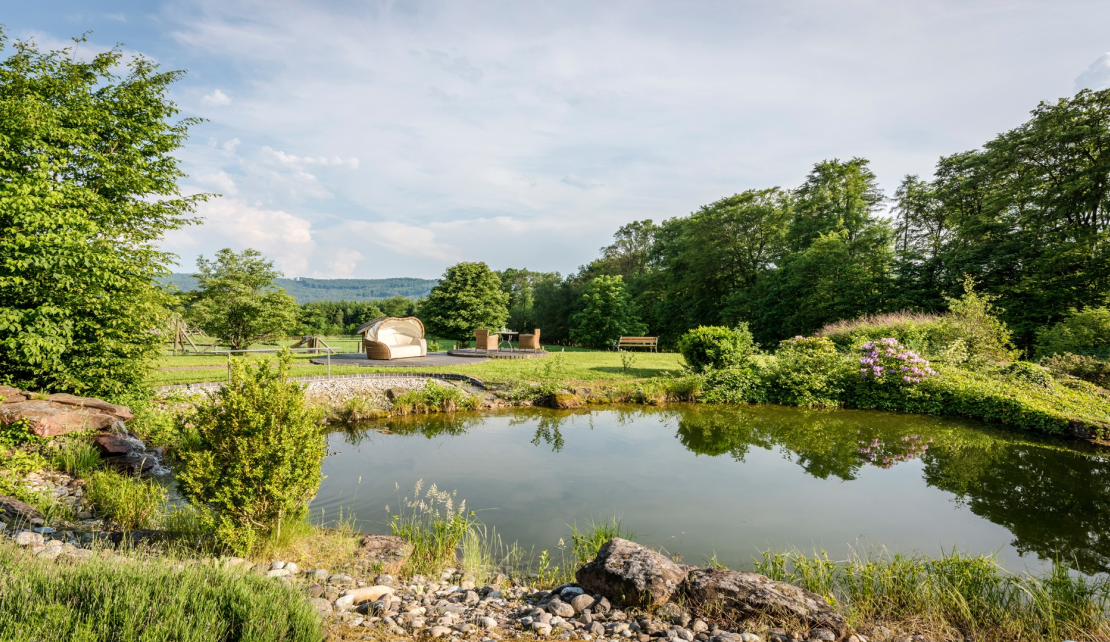 Ansicht des Teichs mit Ausblick auf den Spessart im Hintergrund