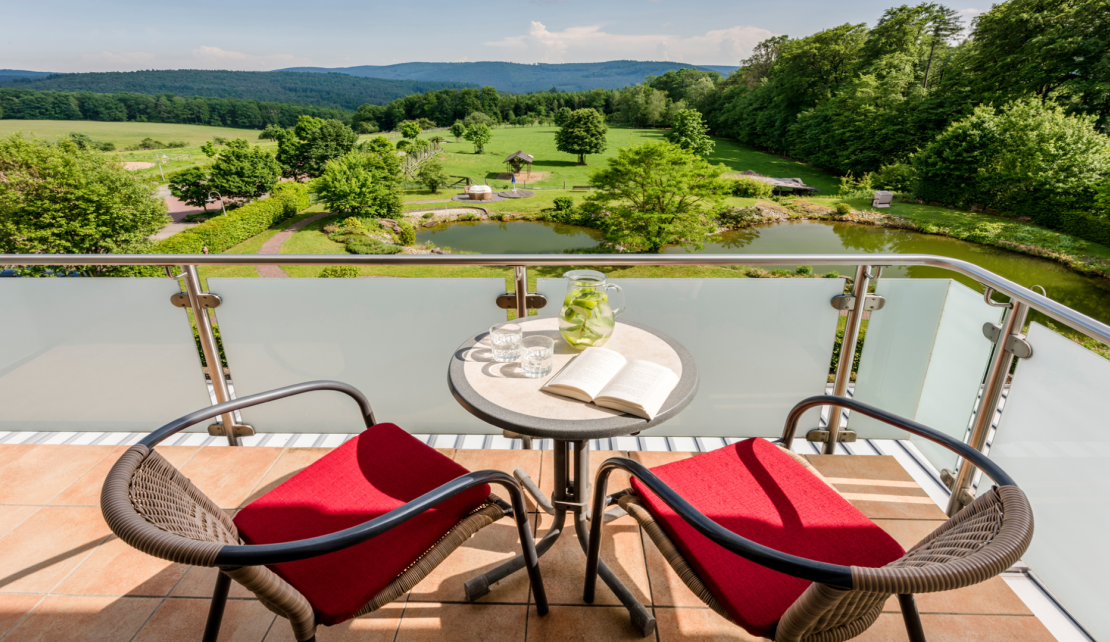 Ausblick vom Zimmerbalkon auf die Teichanlage und das Rehgehege