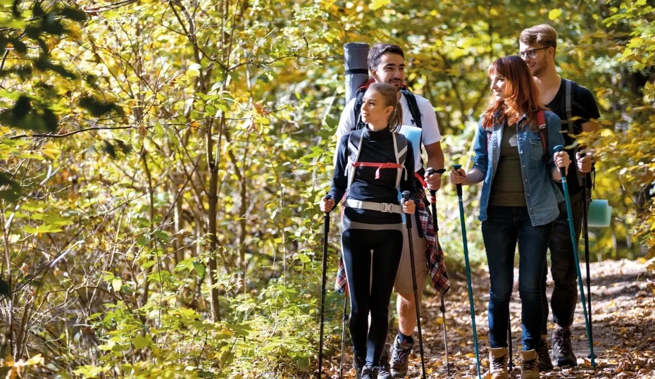 Freunde die im Wald wandern gehen
