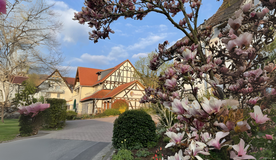 Frontansicht Hotel von der Straße