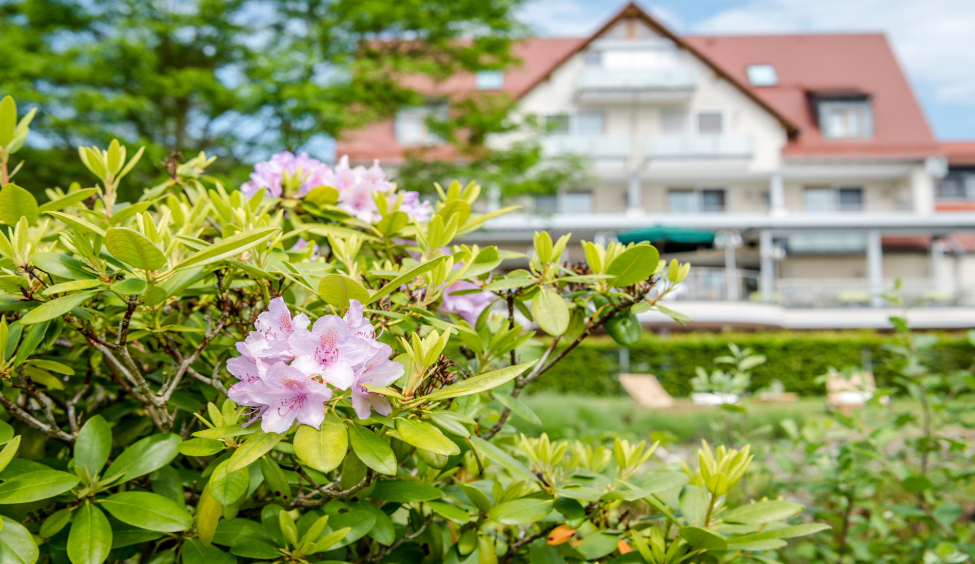 Frontansicht vom Hotel im Frühling mit Blumen