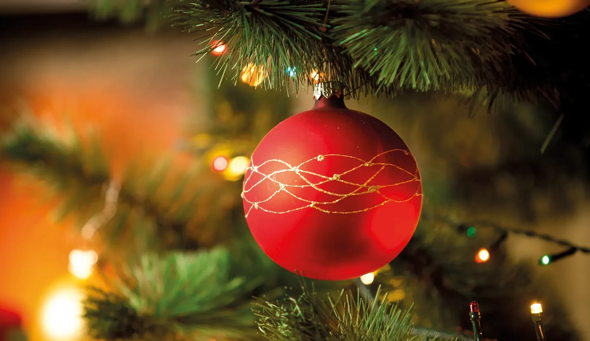 WP_Arrangements_Heimathenhof_0324_Weihnachten