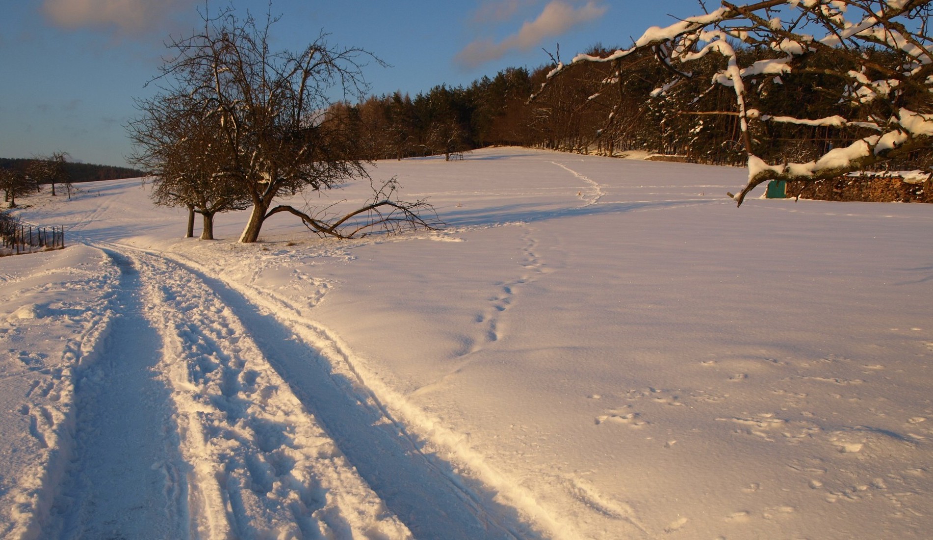 Winter Hotel Heimathenhof Gelände Weg